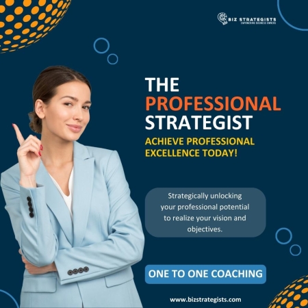 1:1 Coaching: The Professional Strategist
